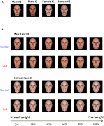 I decided to make a scale of my interpretation of the scale. Guy Rating Scale 1 10 Pictures Guys Scale Of 1 10 How Important Are Looks I Can Complete Rating 10 000 Faces In 24 Hours Arica Hermansen