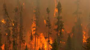 On monday at about 7:00pm, firefighters arrived on scene of an apartment building with all occupants out of the building. Ontario Needs To Reignite Its Love Of Starting Fires In The Right Places Tvo Org