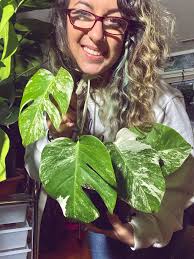 Hope this is allowed. 🌱🪴🌿 My Christmas tree was missing something. It  was missing faux monstera leafs of course! (Of course I couldn't put real  ones on) ! Just placed them in