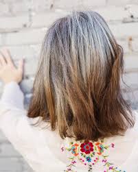 14 Likes 2 Comments Katie Gray Hair Blogger Katiegoesplatinum On Instagram The Back Of My Calico Head 1 Hair Blogger Hair Dark Hair With Highlights