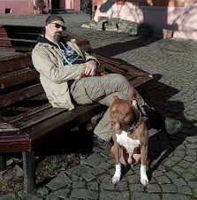 Judecătorii au au respins cererea procurorilor diicot de arestare preventivă pentru trafic de droguri de mare risc a lui mihai pleșu. Fiul Lui Andrei Plesu Mihai Plesu Implicat News Ro