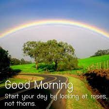 Celebrate with unsplash's fine collection of good morning images, carefully cultivated and. Good Morning Landscaping For Android Apk Download