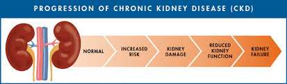 Prevention Risk Management Chronic Kidney Disease