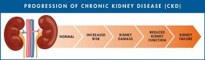 prevention risk management chronic kidney disease