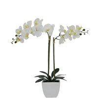 Maybe you would like to learn more about one of these? Artificial Yellow Faux Flowers You Ll Love In 2021 Wayfair