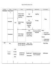 Organic Molecules Summary Chart Answer Key Docx Organic