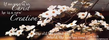 Spring is one of the four temperate seasons. Free April Facebook Timeline Cover For Spring