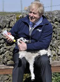 Their first child, wilfred, was born in april last year. I M Used To Doing This At The Moment Boris Johnson Reveals He Is Helping Bottle Feed Son Wilfred Salten News