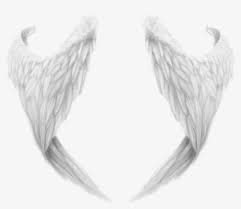 We did not find results for: White Wings Png Angel Wing Transparent Png 900x761 Png Download Pngkit