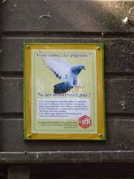 Vous Aimez Les Pigeons Ne Les Nourrissez Pas Maison Spa Tourcoing