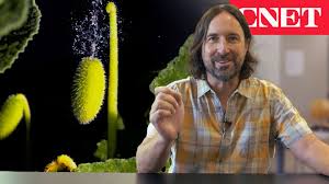 Plant Expert Reacts to Exploding Plants 💥🌿