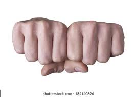 Image result for two-fisted