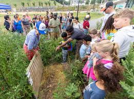 rash field park — Blog — Waterfront Partnership of Baltimore