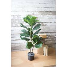 They have beautiful large leaves and are relatively low maintenance. Faux Fiddle Leaf Fig Tree Painted Fox Home