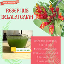 Masukkan garam, rasakan perisanya kemudian masukan santan pekat tu. Steviasugar Corporation Ø§Ù„Ù…Ù†Ø´ÙˆØ±Ø§Øª ÙÙŠØ³Ø¨ÙˆÙƒ