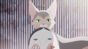 Pin En Amor De Gata