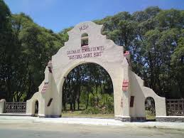 puerta del hospital saint bois tower bridge colonia hospital