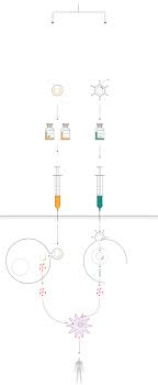 Check spelling or type a new query. Covid 19 In Spain The Differences Between The Pfizer Moderna And Oxford Coronavirus Vaccines What We Know So Far Science Tech El Pais In English