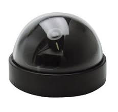 Dome Factice Brico Depot