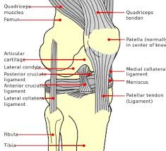 Contusion of the lateral femoral condyle and small knee effusion. Chodromalacia Patellae Samarpan Physiotherapy Clinic Ahmedabad