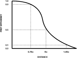 Read s rie t l vis e book reviews & author details and more at amazon.in. Forster Resonance Energy Transfer Fret And Applications Thereof Analytical Methods Rsc Publishing Doi 10 1039 D0ay01961e