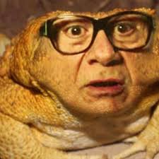 Fundraiser for Danny Devitoad by Tori Thirst : (URGENT) help save  @dannydevitoad (URGENT)