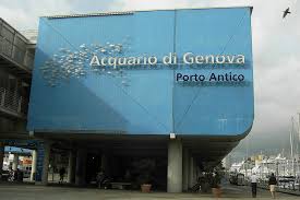 In 2015, 594,733 people lived within the city's administrative limits. Aquarium Of Genoa Italy Hisour Hi So You Are