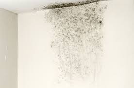 Remember, mold can develop anywhere in a damp or humid keep your bathroom clean and pay particular attention to the corners of your shower, under your if you have found mold in your bedroom, remove it immediately. Signs You Need A Dehumidifier