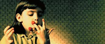 le fabuleux destin d'amélie poulain (an introduction)