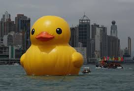 The standard is hong kong's biggest circulation free english daily newspaper. King Duck Riesen Ente Schwimmt Im Hafen Von Hongkong Kurios National Vol At