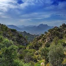 Logingram Instagram Web Viewer Round The World Instagram Taif
