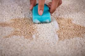 Bissell Proheat 2x Instructions Bissell Proheat 2x Carpet Cleaner Instructions Homemade Carpet Shampoo Carpet Shampoo Natural Carpet Cleaning