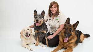 These bonuses or commission can add up to $10,000 for the industry average. How Much Do Dog Trainers Make