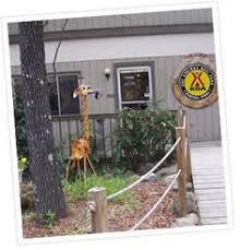 Drive trail ridge road for. 10 Campgrounds Near Hot Springs Arkansas Ideas Hot Springs Campground Hot Springs National Park