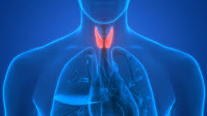 Jan 18, 2021 · what is graves' disease? Thyroid Disease And Diabetes What Does The Thyroid Do Hypothyroidism