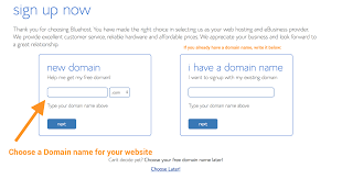 Choose A Domain Name Website Hosting Bluehost Website Setup