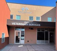 Maybe you would like to learn more about one of these? Pet Euthanasia End Of Life Dumb Friends League Services Dumb Friends League