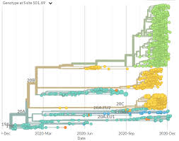 The new mutation called the n501y identified in the united kingdom has caused 1,100 new infections in more than sixty areas of the. Dr Emma Hodcroft On Twitter Is The New Uk Variant The Same As The New South African Variant 501y V2 No They Both Share The Same Mutation In Spike N501y N Y At Position