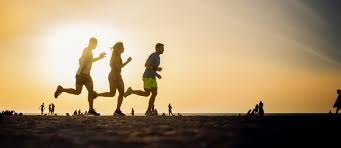 Composed of six distinct brands, the life fitness family of brands is dedicated to providing. Dubai Fitness Challenge 2020 Dates Activites More Mybayut