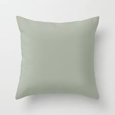 Interlude luxurious square cotton pillow cover and insert. Venta Sage Couch Pillows En Stock