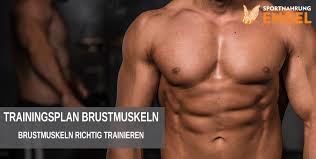 01 die klassischen liegestütze dies ist die basisübung schlechthin, sie trainiert die oberen sowie die unteren brustmuskeln in gleichem maße und ist verantwortlich für den aufbau von masse. Brustmuskeln Aufbauen 2x Pro Woche Brust Trainieren