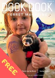 FREE DOOK DOOK FERRET MAGAZINE FOR EVERYONE!! *** http://bit.ly/2tFrOlC You  know how I said I had a free gift for you a few days ago? Well, here it is!  I thought