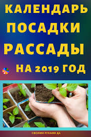 когда сеять помидоры на рассаду по лунному календарю 2019 Kalendar Posadki Rassady Na 2019 J God Poleznye Sovety Dachnikam S Izobrazheniyami Posadka Kalendar Ogorodnichestvo