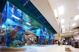 (3.10 mi) inn at 835 boutique hotel. Scheels Springfield Il Sampson Construction General Contractor Nebraska Colorado Wyoming