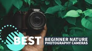 Best Beginner Cameras For Nature Photography In 2021 Youtube