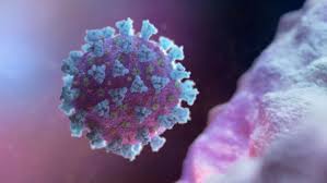 Coronavirus Bangladeshi Private Hospitals Unable To Treat Covid 19 The Business Standard