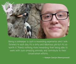 These pint-sized, fluffy raptors are a mid-week mood for sure. The African  pygmy falcon is the smallest bird of prey in Africa, and is sexually  dimorphic -- meaning the males and females