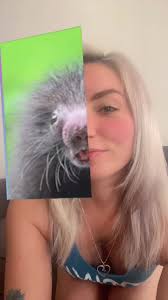 trending #animal #justme #cute #cuteness #fun