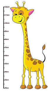 Full Colour Cute Giraffe Height Chart Wall Sticker