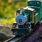 Model Trains & Insect Adventure